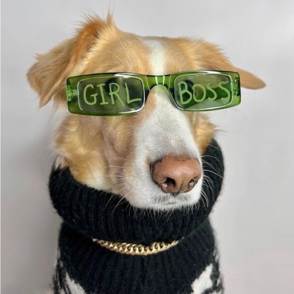 Meet your Posher, Cat - Picture 1 of 1